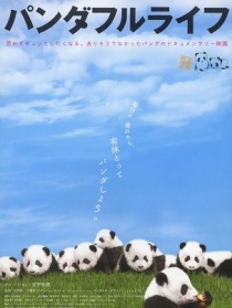 大熊貓的生活