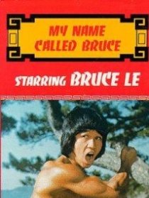 霹雳龙拳