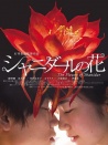 沙尼達爾之花