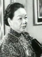 陈皮梅