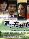 雁儿在林梢