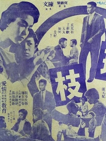 连理枝