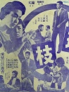 连理枝