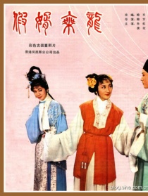 假婿乘龙