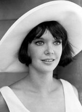 帕梅拉·富兰克林