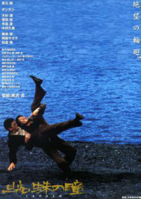 蜘蛛之瞳