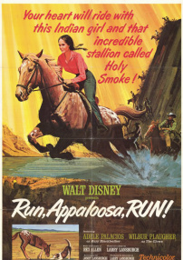 Run, Appaloosa, Run
