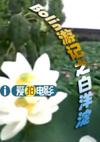 博林游记之白洋淀（上）