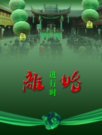 离婚进行时