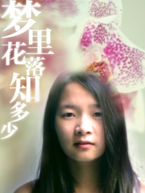 梦里花落知多少