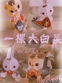 一棵大白菜