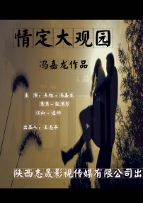 情定大观园