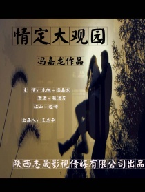 情定大觀園