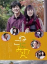 給貓橘子