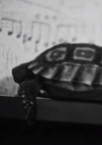 时间终结四重奏