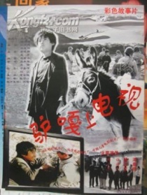 驴嘎上电视
