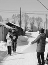 雪野金花