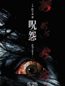 咒怨：终结的开始