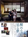 清醒的夢