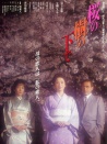 櫻花樹下