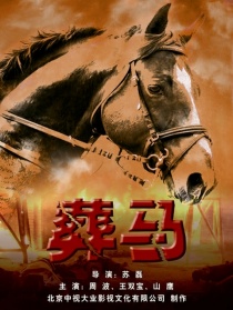 彈無虛發(fā)之葬馬