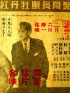 艷陽長照牡丹紅
