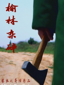榆林雜碎