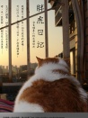 胖虎日記