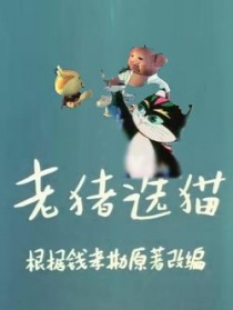 老豬選貓