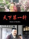 天下第一針