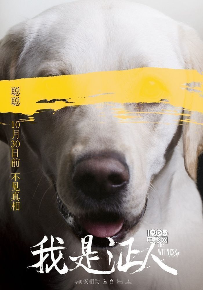 朱亚文《我是反派》演证人花式"虐待"杨幂鹿晗图片明星住的别墅图片