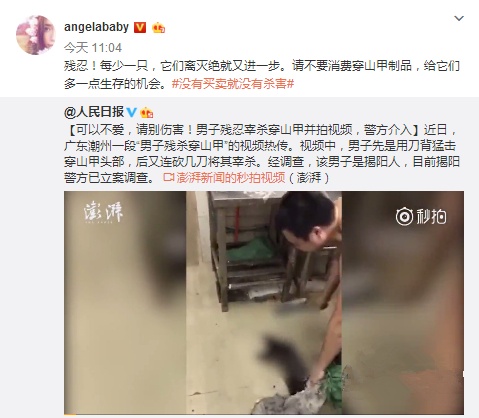 Angelababy痛心野生动物被杀害 呼吁保护穿山甲