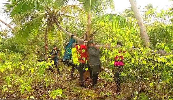 《我们的征途》家族掰断椰子树 尹正潜水太拼