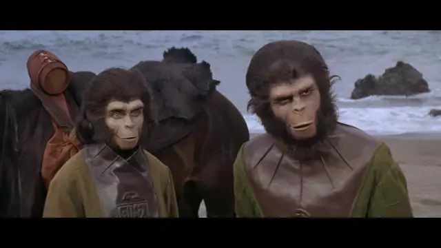 周黎明:这些“猩猩”不知打了多少鲜肉小花的脸_好莱坞_电影网_1905.com
