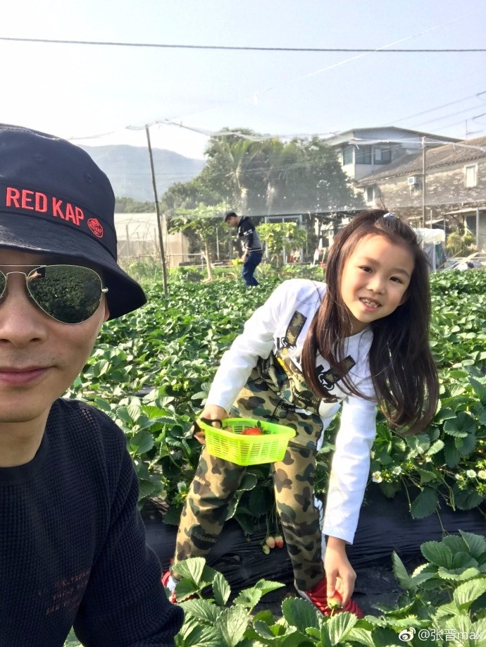 张晋、蔡少芬携女儿同游乡下 采摘草莓其乐融