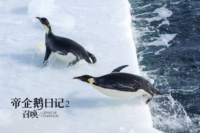 《帝企鹅日记2》将映 原班人马升级呈现南极奇观