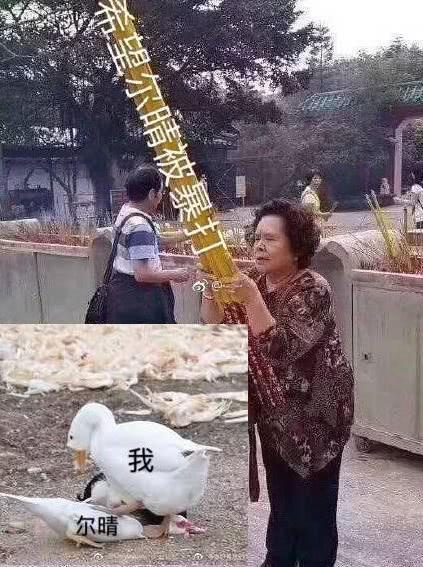 《延禧攻略》傅恒真是太直男,娶尔晴救璎珞是他不懂得爱情?