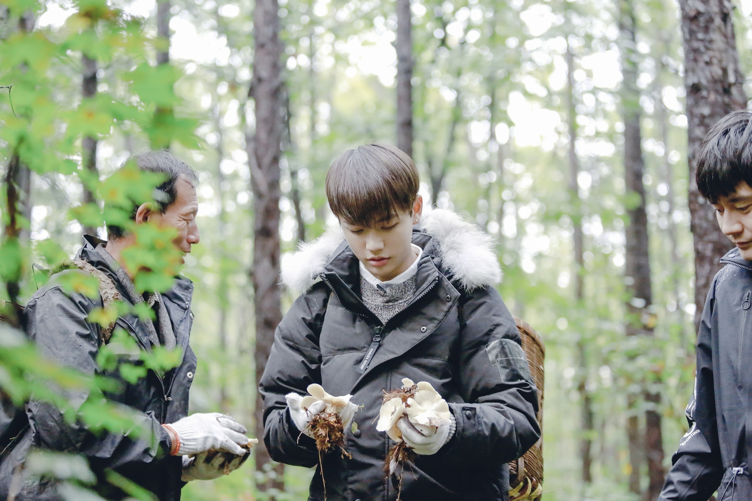 《野生厨房》采蘑菇的小男孩上线 林彦俊迷失森林
