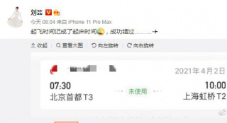 刘芸晒出“生活糗事” 记错时间“完美”错过航班