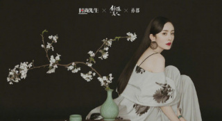 杨幂曝《斛珠夫人》古韵大片 绝美回眸可攻可御
