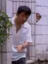 陽(yáng)光燦爛的夏天