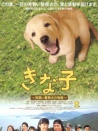 实习警犬物语