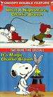 What a Nightmare, Charlie Brown!