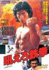 復(fù)仇的鐵拳