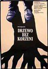 Darvo bez koren