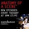 "Anatomy of a Scene"