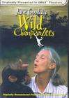 Jane Goodall's Wild Chimpanzees