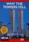 Why the Towers Fell