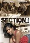 Section 8