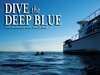 Dive the Deep Blue